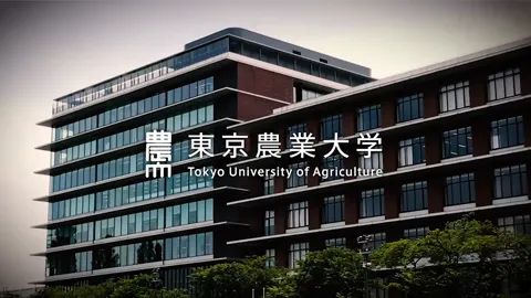 出国留学 日本留学