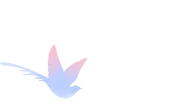 1 1