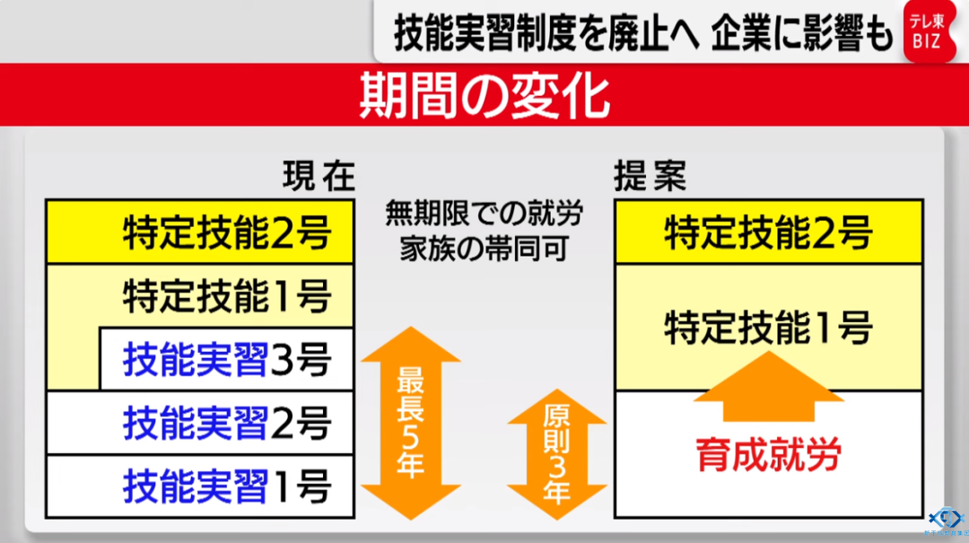 新干线教育集团 新干线教育集团