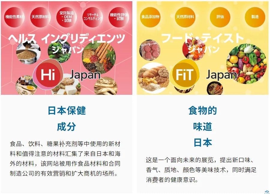 新干线教育集团 新干线教育集团