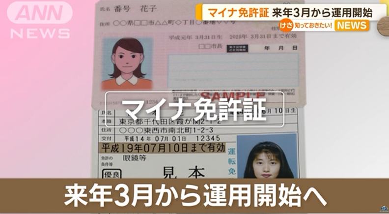 新干线教育集团 新干线教育集团