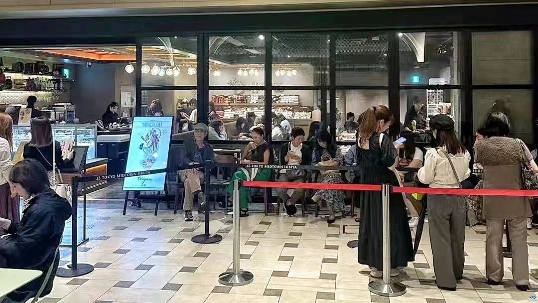新干线教育集团 新干线教育集团