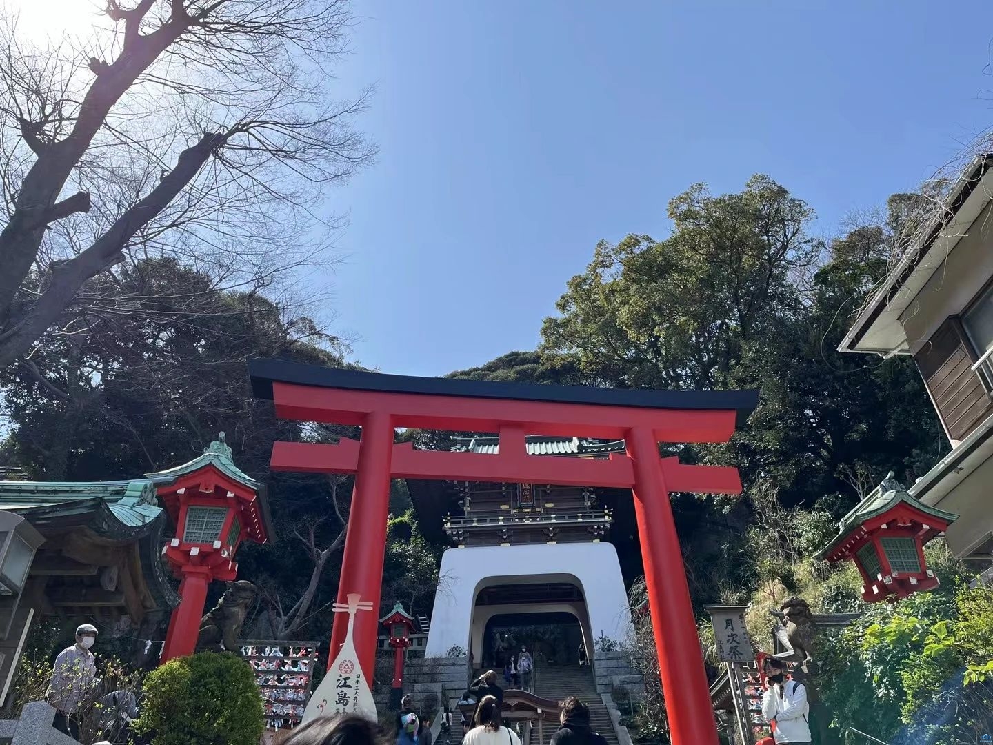 新干线教育集团 新干线教育集团