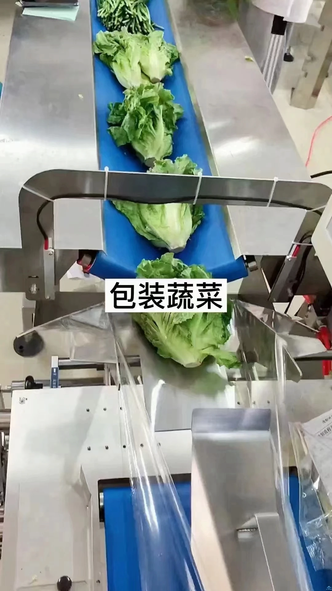 新干线教育集团 新干线教育集团