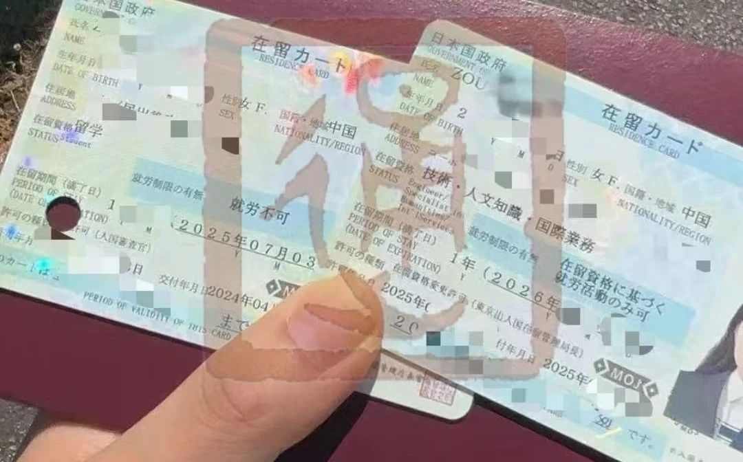 新干线教育集团