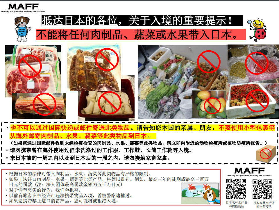 新干线教育集团 新干线教育集团