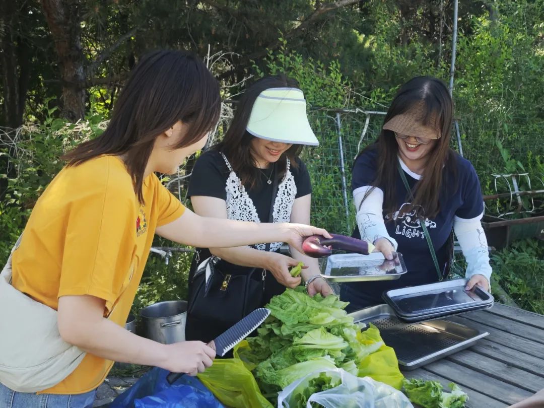新干线教育集团 新干线教育集团