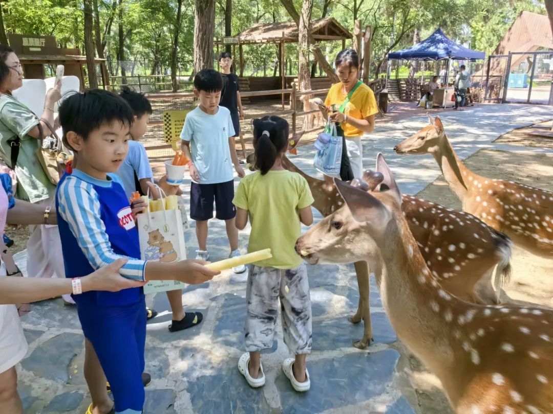 新干线教育集团