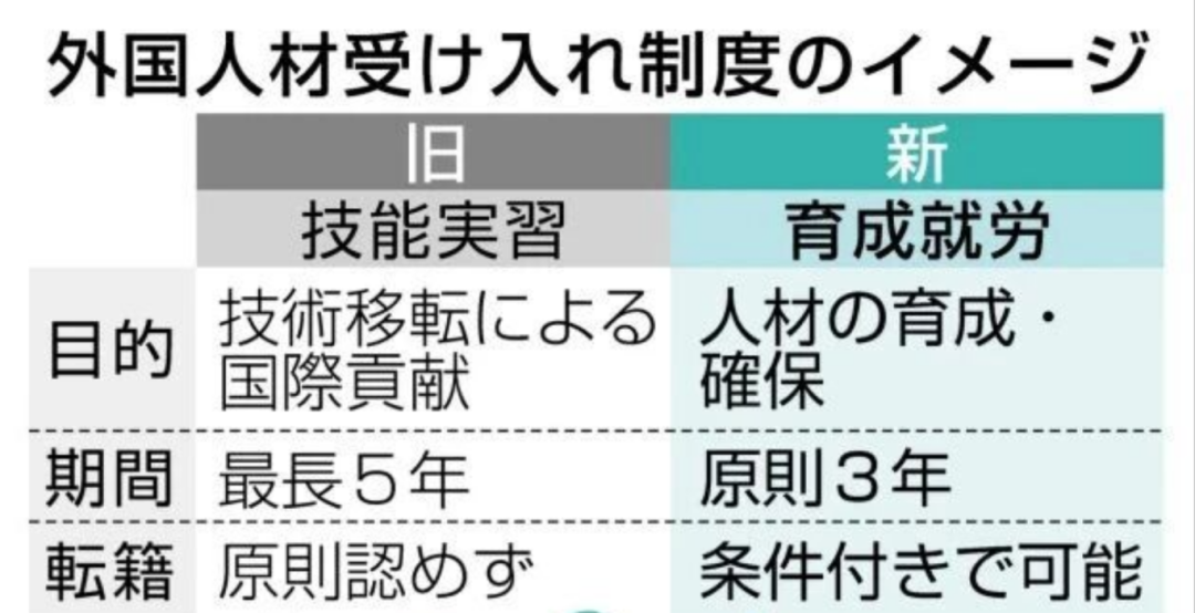 新干线教育集团