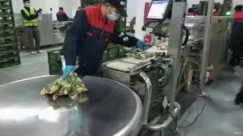 新干线教育集团