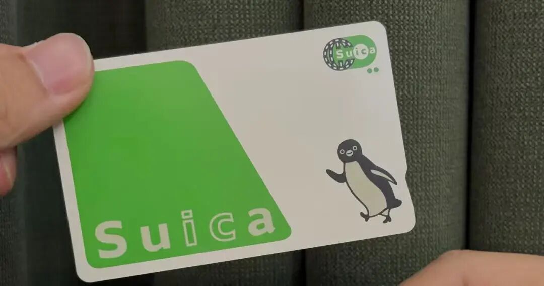 新干线教育集团 新干线教育集团