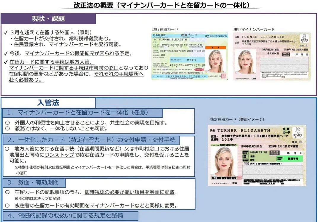 新干线教育集团