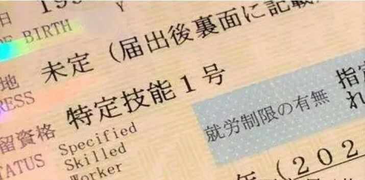 辽宁政通劳务