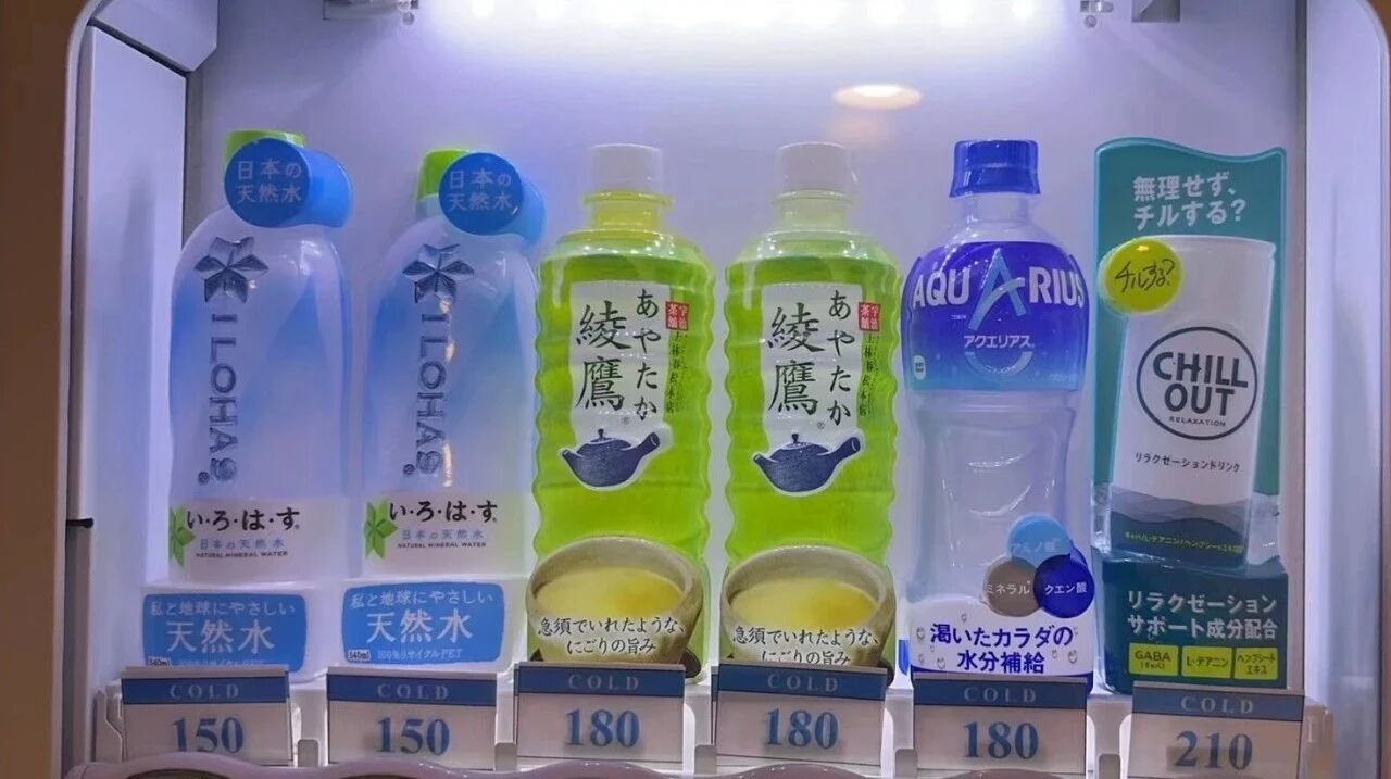 新干线教育集团